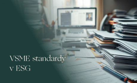 VSME standardy v ESG – co jsou a proč je dobré je znát